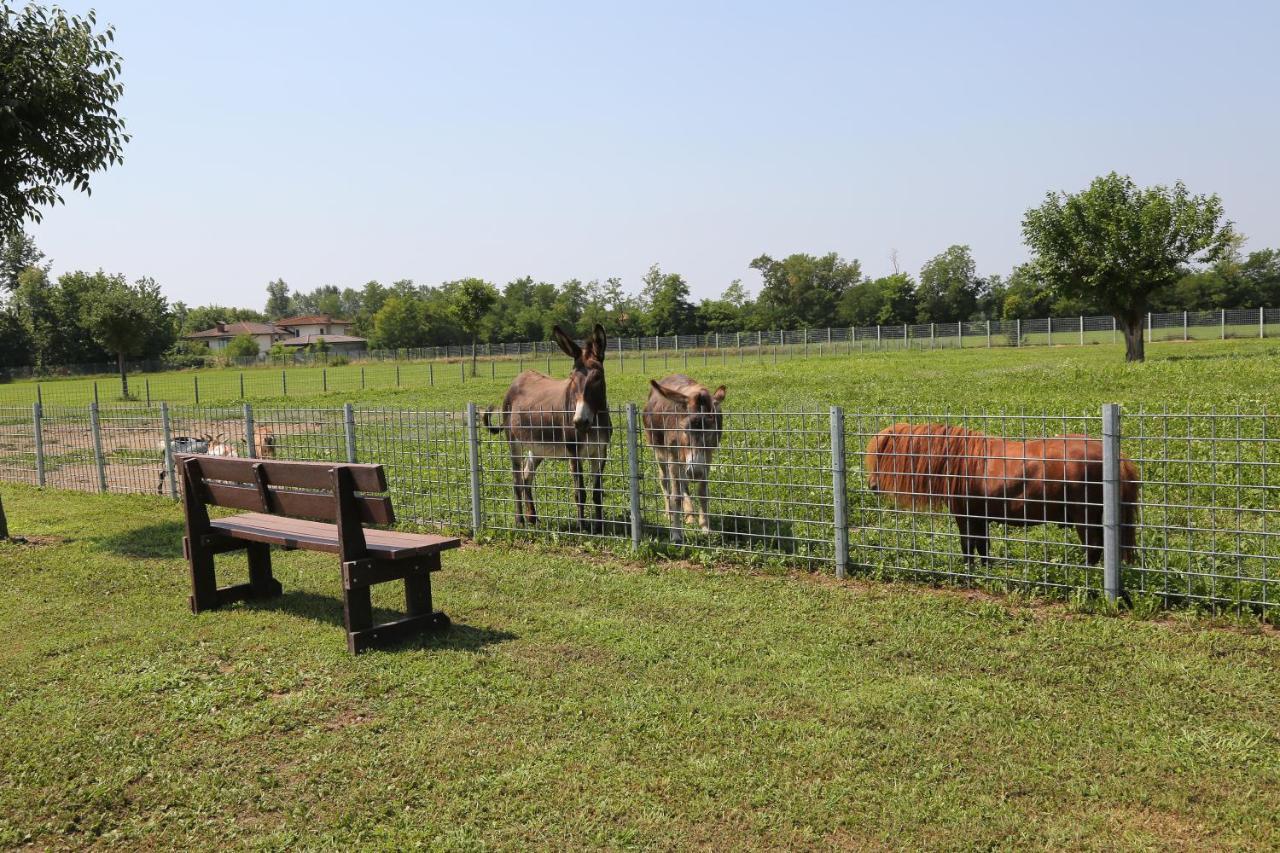 Azienda Agrituristica Ai Prai 카스텔로디고데고 외부 사진