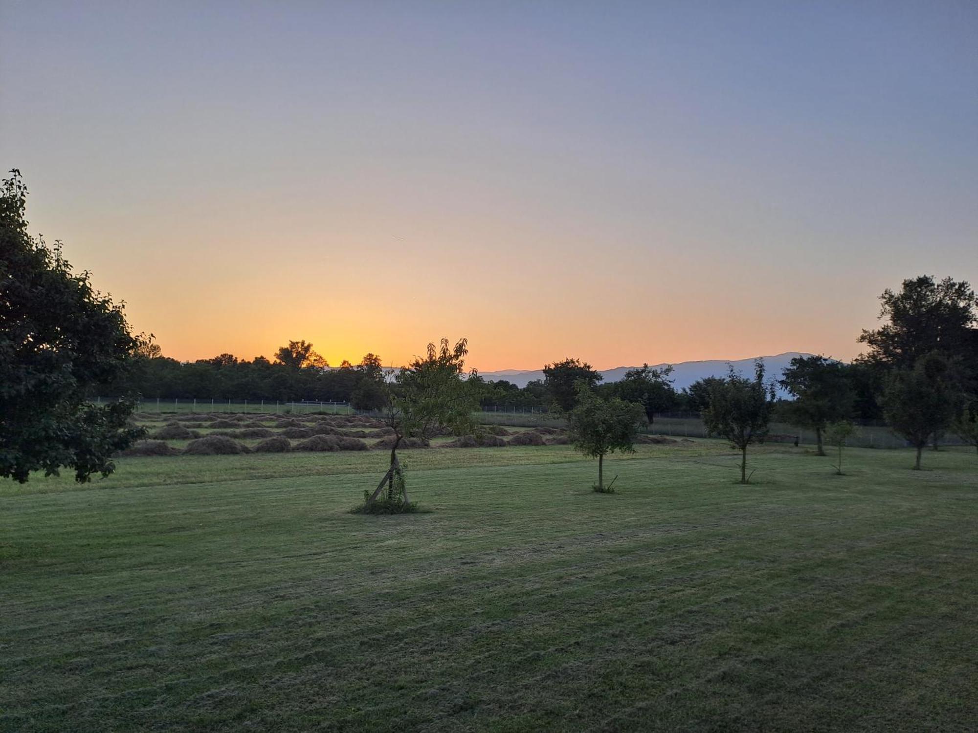 Azienda Agrituristica Ai Prai 카스텔로디고데고 외부 사진