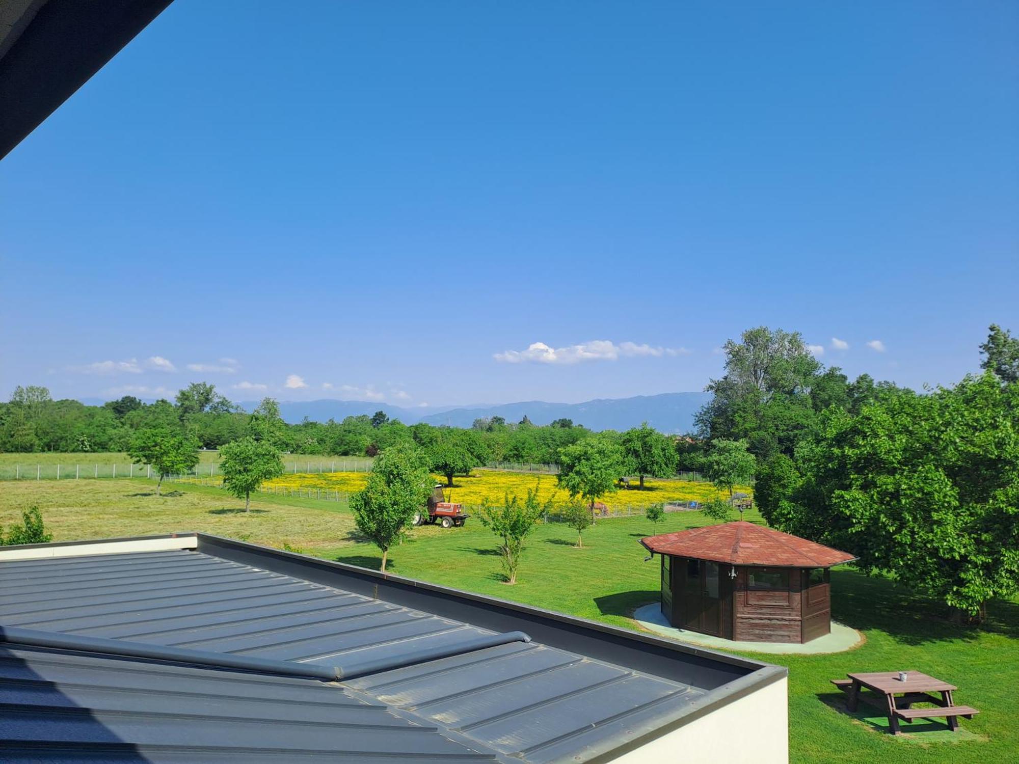 Azienda Agrituristica Ai Prai 카스텔로디고데고 외부 사진
